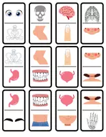 Vista previa - Juegos / Gamificación - Dómino Partes del Cuerpo Humano - página 1