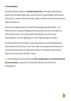 Vorschau - Anderer Materialtyp - Katze Mauzarella und das Käseabenteuer...ein selbst verfasstes Bilderbuch zum Mitlachen und Mitlesen - Seite 1