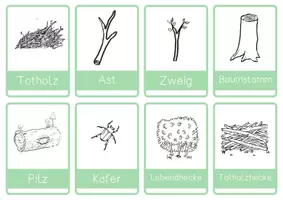 Vorschau - Stationenlernen - Die Totholzhecke / Lernkarten / Lernwörter - Seite 2