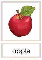 Vorschau - Bildkarten - Bild- und Wortkarten_Fruits_Patchwords - Deckblatt