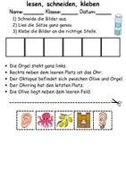 Vorschau - Mal- und Bastelvorlagen - Buchstabe O Leserätsel - Lesen, schneiden, kleben - DaZ/DaF, Deutsch, Sachunterricht - Seite 3