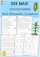 Vorschau - Arbeitsblätter - Der Mais - Leseverständnis, differenziert, Klasse 3, 4 - Deckblatt