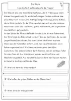 Vorschau - Arbeitsblätter - Der Mais - Leseverständnis, differenziert, Klasse 3, 4 - Seite 2