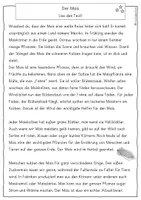 Vorschau - Arbeitsblätter - Der Mais - Leseverständnis, differenziert, Klasse 3, 4 - Seite 3