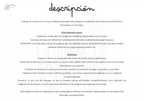 Vista previa - Refuerzo / NEE / Materiales de apoyo - BINGO DE VERANO: LETRA MAYÚSCULA Y LIGADA - página 1
