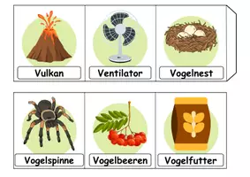 Vorschau - Unterrichtsreihen - Materialpaket - Buchstabe V XXL Paket Wortschatzpaket - DaZ/DaF, Deutsch, Sachunterricht (Grundschule) - Seite 3