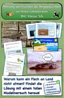 Vorschau - Stundenentwürfe - Versuch zur Kiementamung: Warum kann ein Fisch an Land nicht atmen? - Deckblatt