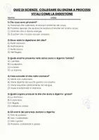 anteprima - Quiz - Collegare gli enzimi a processi vitali come la digestione - Pagina 1