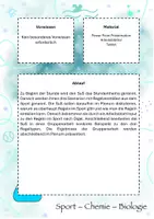 Vorschau - Stundenentwürfe - Sport Theorie - UV Kooperation und Konkurrenz - Seite 2