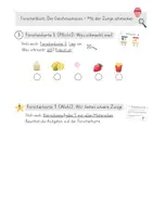 Vorschau - Arbeitsblätter - Gesamte Einheit - Sinne + Sinnesorgane - Seite 2