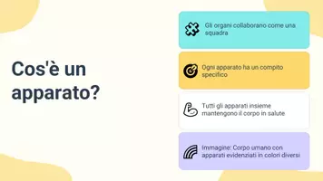 anteprima - Schede informative - Raccolta di materiali "Scienze": classificazione e funzioni - Pagina 3