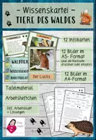 Vorschau - Arbeitsblätter - Wissenskartei Tiere des Waldes - Kartei + Bildmaterial + Heftchen + AB + Tafelmaterial - Deckblatt