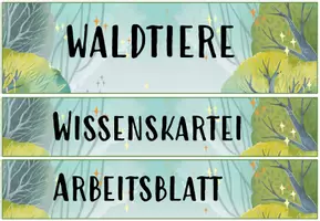 Vorschau - Arbeitsblätter - Wissenskartei Tiere des Waldes - Kartei + Bildmaterial + Heftchen + AB + Tafelmaterial - Seite 2