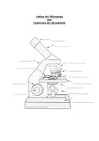 Vorschau - Stundenentwürfe - Materialpaket zum Thema „Die Zelle und Mikroskopieren“ - Deckblatt