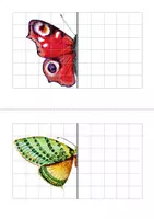 Vista previa - Manualidades / Dibujos para colorear - LA SIMETRÍA DE LOS INSECTOS - LEPIDOPTERA. - página 1