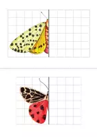 Vista previa - Manualidades / Dibujos para colorear - LA SIMETRÍA DE LOS INSECTOS - LEPIDOPTERA. - página 2