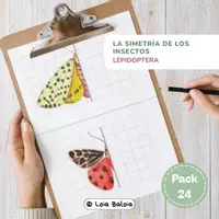 Vista previa - Manualidades / Dibujos para colorear - LA SIMETRÍA DE LOS INSECTOS - LEPIDOPTERA. - Portada