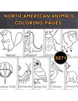 Vorschau - Mal- und Bastelvorlagen - Coloring North American Animals set 1 - Deckblatt