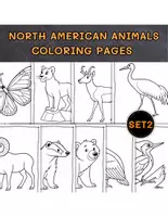 Vorschau - Mal- und Bastelvorlagen - Noth American Animals Coloring set 2 - Deckblatt