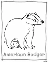 Vorschau - Mal- und Bastelvorlagen - Noth American Animals Coloring set 2 - Seite 2
