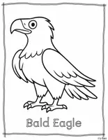 Vorschau - Mal- und Bastelvorlagen - Noth American Animals Coloring set 3 - Seite 2