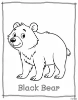 Vorschau - Mal- und Bastelvorlagen - Noth American Animals Coloring set 3 - Seite 3