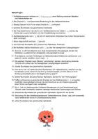 Vorschau - Arbeitsblätter - Halbleiter im Kreuzworträtsel - Seite 1
