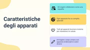 anteprima - Presentazioni / Lavagne - Elencare i principali apparati del corpo umano - Pagina 3