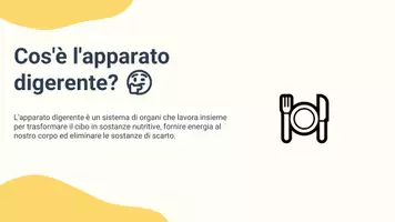anteprima - Presentazioni / Lavagne - Identificare gli organi dell’apparato digerente e le loro funzioni - Pagina 2