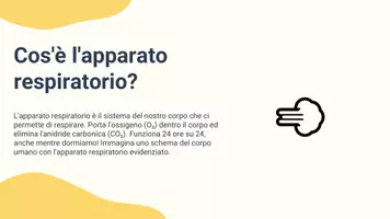 anteprima - Presentazioni / Lavagne - Riconoscere le strutture dell’apparato respiratorio e le loro funzioni - Pagina 2