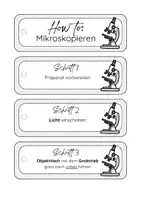 Vorschau - Anderer Materialtyp - How to: Mikroskopieren Moderationskarten - Seite 1