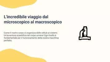 anteprima - Presentazioni / Lavagne - Descrivere l’organizzazione dal livello cellulare ai sistemi - Pagina 2