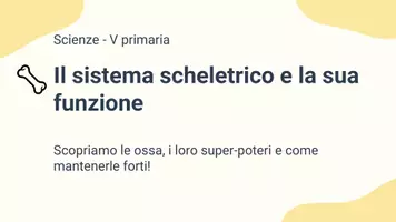 anteprima - Presentazioni / Lavagne - Descrivere il sistema scheletrico e la sua funzione - Pagina 1