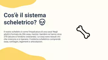 anteprima - Presentazioni / Lavagne - Descrivere il sistema scheletrico e la sua funzione - Pagina 2