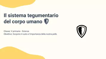 anteprima - Presentazioni / Lavagne - Descrivere il ruolo del sistema tegumentario - Pagina 2