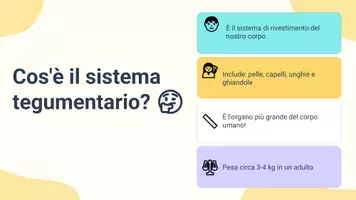 anteprima - Presentazioni / Lavagne - Descrivere il ruolo del sistema tegumentario - Pagina 3