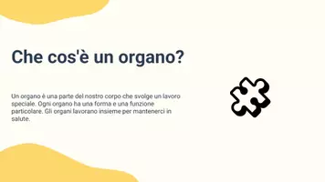 anteprima - Presentazioni / Lavagne - Descrivere la funzione di ciascun organo - Pagina 2