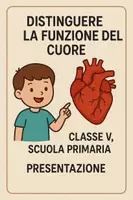 anteprima - Presentazioni / Lavagne - Distinguere la funzione del cuore - Pagina di copertina