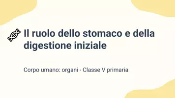 anteprima - Presentazioni / Lavagne - Descrivere il ruolo dello stomaco e della digestione iniziale - Pagina 1