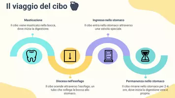 anteprima - Presentazioni / Lavagne - Descrivere il ruolo dello stomaco e della digestione iniziale - Pagina 3
