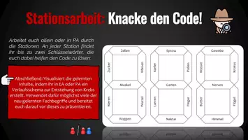 Vorschau - Unterrichtsreihen - Materialpaket - Mutationen & Krebs (Stationsarbeit + Lernkontrollen) - Seite 3