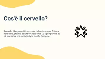 anteprima - Presentazioni / Lavagne - Descrivere il ruolo del cervello come centro di controllo - Pagina 2
