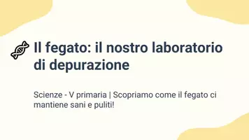 anteprima - Presentazioni / Lavagne - Spiegare la funzione del fegato nella depurazione - Pagina 1