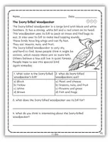 Vorschau - Arbeitsblätter - North American Animals: Reading Passages with Questions - Seite 2