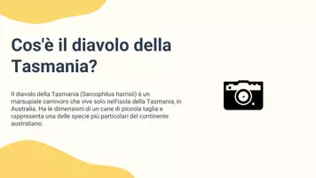 anteprima - Materiale interattivo - Raccolta di materiali "Scienze": animali particolari, conoscenza della fauna globale - Pagina 2