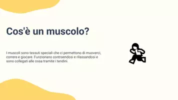 anteprima - Presentazioni / Lavagne - Classificare i diversi tipi di muscoli e le loro caratteristiche - Pagina 2