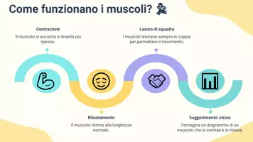 anteprima - Presentazioni / Lavagne - Descrivere come i muscoli producono movimento - Pagina 3
