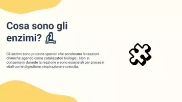 anteprima - Presentazioni / Lavagne - Analizzare fattori che influenzano l’attività enzimatica - Pagina 2