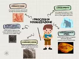 anteprima - Materiale di supporto/inclusione - MAPPA FOSSILIZZAZIONE con Capitan Curiosus - Pagina di copertina
