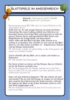 Vorschau - Stundenentwürfe - Schwungtuch-Abenteuer - Bewegungsgeschichte & Spielideen - Seite 3